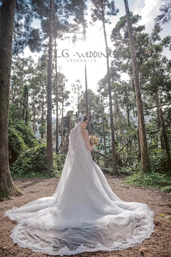婚紗攝影台北必讀婚紗攝影景點|陽明山黑森林|唯美浪漫代表-婚紗攝影台北必讀婚紗攝影景點|陽明山黑森林|唯美浪漫代表