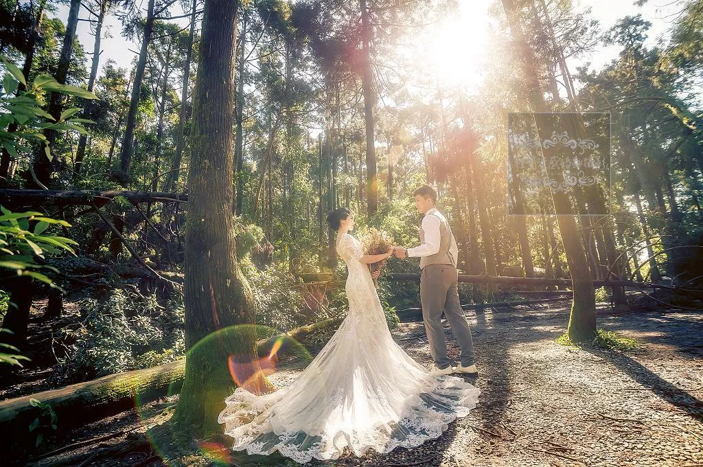 婚紗攝影台北必讀婚紗攝影景點|陽明山黑森林|唯美浪漫代表-婚紗攝影台北必讀婚紗攝影景點|陽明山黑森林|唯美浪漫代表