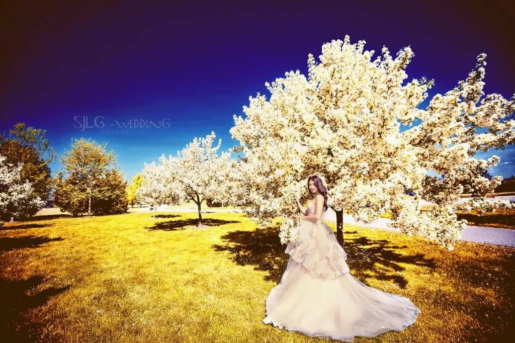 Toronto-RICHMOND-GREEN-Wedding-photography-by-sjlg-wedding-3-1024x682-視覺流感CanadaTorontoPre-weddingPhotography加拿大海外婚紗攝影@OverseasPre-WeddingPhotoCanadaToronto加拿大多倫多拍婚紗攝影