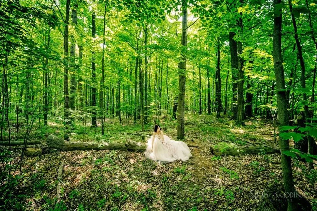 Toronto-RICHMOND-GREEN-Wedding-photography-by-sjlg-wedding-5-1024x682-視覺流感CanadaTorontoPre-weddingPhotography加拿大海外婚紗攝影@OverseasPre-WeddingPhotoCanadaToronto加拿大多倫多拍婚紗攝影