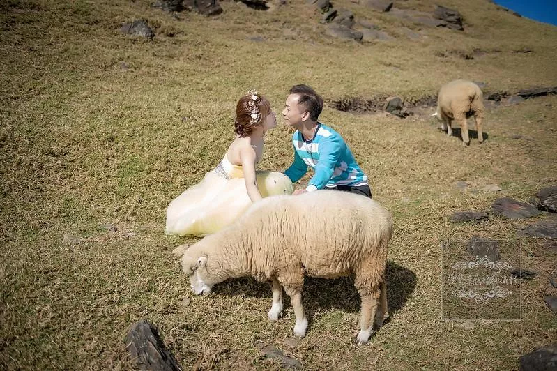 婚紗攝影南投婚紗景點必拍攝影推薦|清境農場-青青草原-婚紗攝影南投婚紗景點必拍攝影推薦|清境農場-青青草原