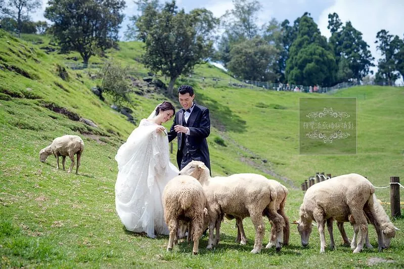 婚紗攝影南投婚紗景點必拍攝影推薦|清境農場-青青草原-婚紗攝影南投婚紗景點必拍攝影推薦|清境農場-青青草原