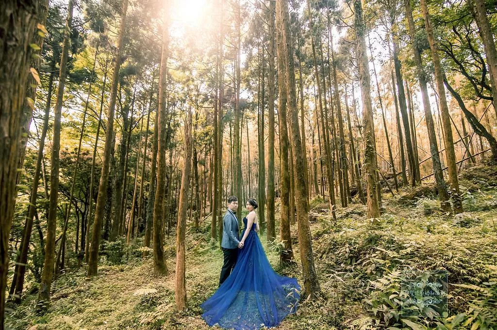 婚紗攝影台北婚紗景點推薦|陽明山神秘黑森林|媲美南投忘憂-婚紗攝影台北婚紗景點推薦|陽明山神秘黑森林|媲美南投忘憂