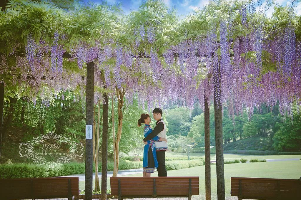 視覺流感日本海外婚紗攝影,茨城笠間藝術之森旅拍,杜鵑公園拍婚紗-日本海外婚紗攝影|茨城笠間藝術之森+杜鵑公園拍婚紗