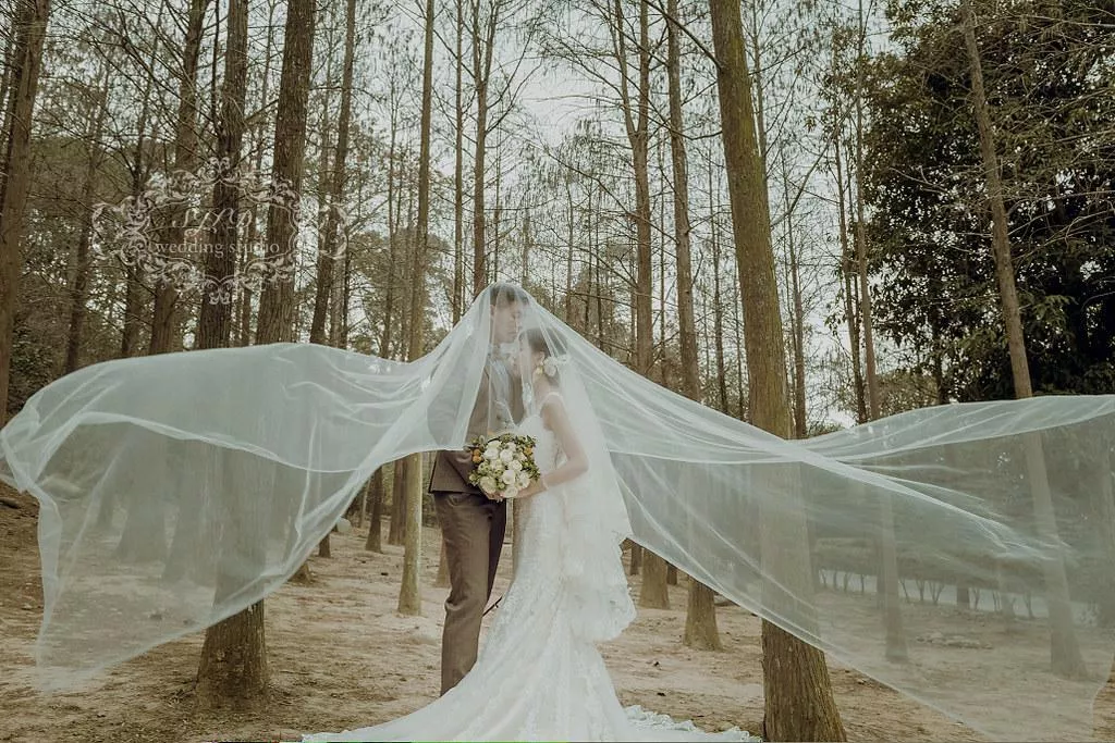 台中婚紗攝影|泰安車站+泰安落羽松秘境拍婚紗|婚紗景點-台中婚紗攝影|泰安車站+泰安落羽松秘境拍婚紗|婚紗景點
