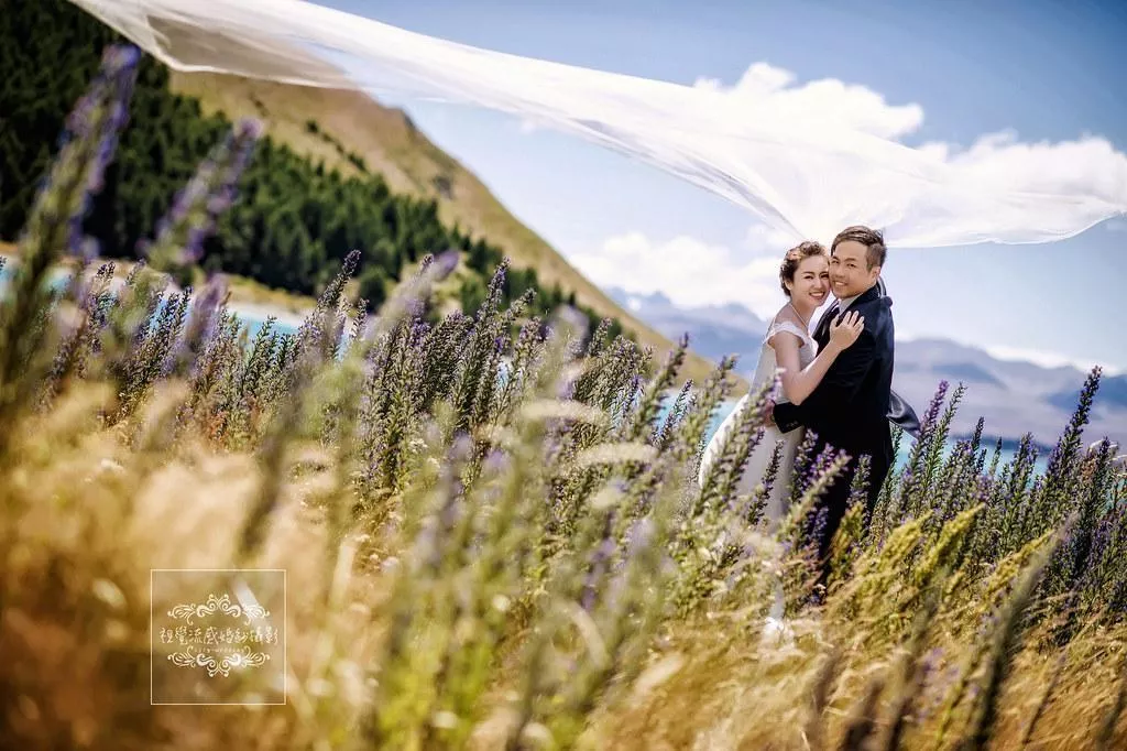 海外婚紗攝影|紐西蘭(新西蘭)NEWZEALAND|南島特(蒂)卡波湖LakeTekapo-魯冰花海-海外婚紗攝影|紐西蘭(新西蘭)NEWZEALAND|南島特(蒂)卡波湖LakeTekapo-魯冰花海