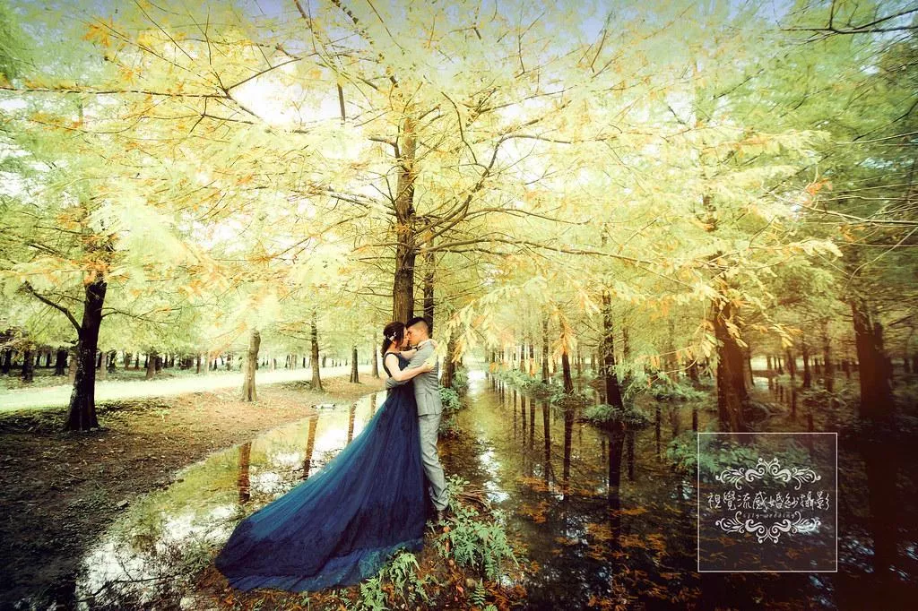 婚紗攝影花蓮|落羽松|私房秘境攝影-婚紗攝影花蓮|落羽松|私房秘境攝影
