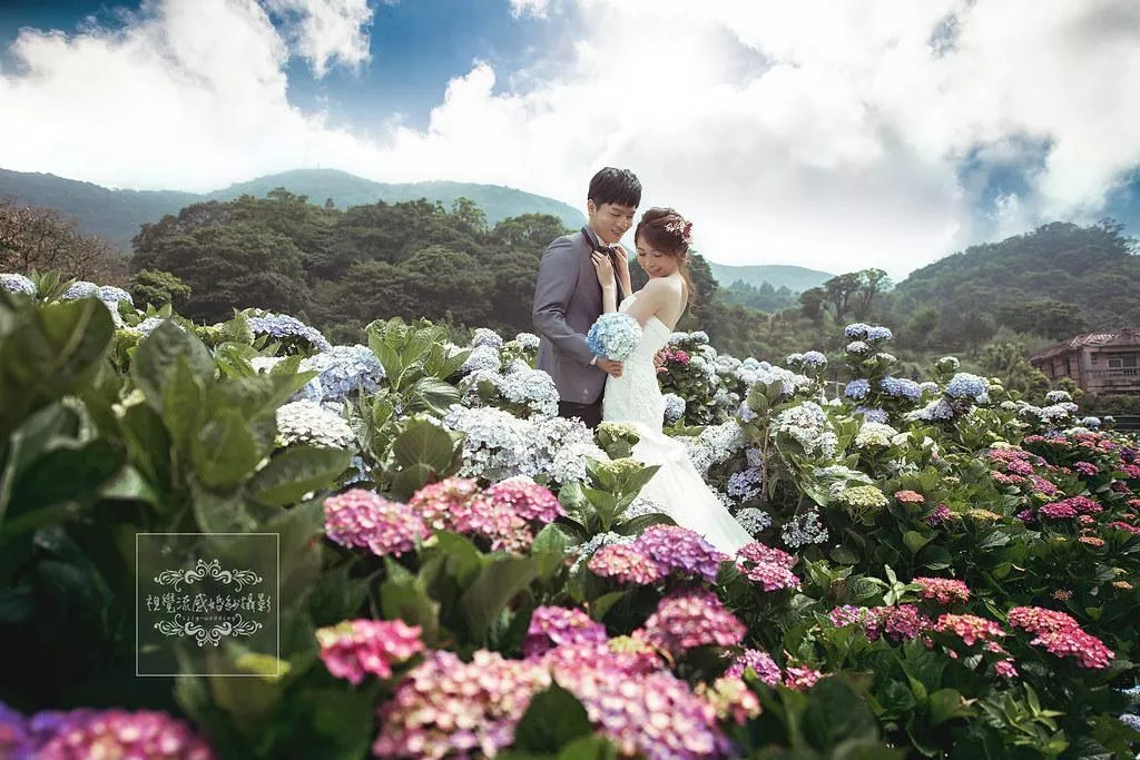 婚紗攝影台北景點|陽明山水車寮步道-高家繡球花田-竹子湖大賞園繡球花|季節限定婚紗景點-婚紗攝影台北景點|陽明山水車寮步道-高家繡球花田-竹子湖大賞園繡球花|季節限定婚紗景點