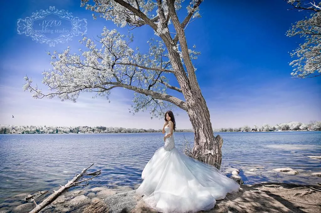 海外婚紗攝影torontoLakeWilcoxpark加拿大多倫多婚攝(5)-海外婚紗攝影torontoLakeWilcoxpark加拿大多倫多婚攝