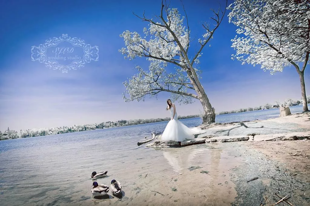 海外婚紗攝影torontoLakeWilcoxpark加拿大多倫多婚攝(8)-海外婚紗攝影torontoLakeWilcoxpark加拿大多倫多婚攝