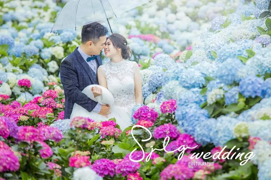 婚紗攝影台北景點|陽明山水車寮步道-高家繡球花田-竹子湖大賞園繡球花|季節限定婚紗景點-婚紗攝影台北景點|陽明山水車寮步道-高家繡球花田-竹子湖大賞園繡球花|季節限定婚紗景點