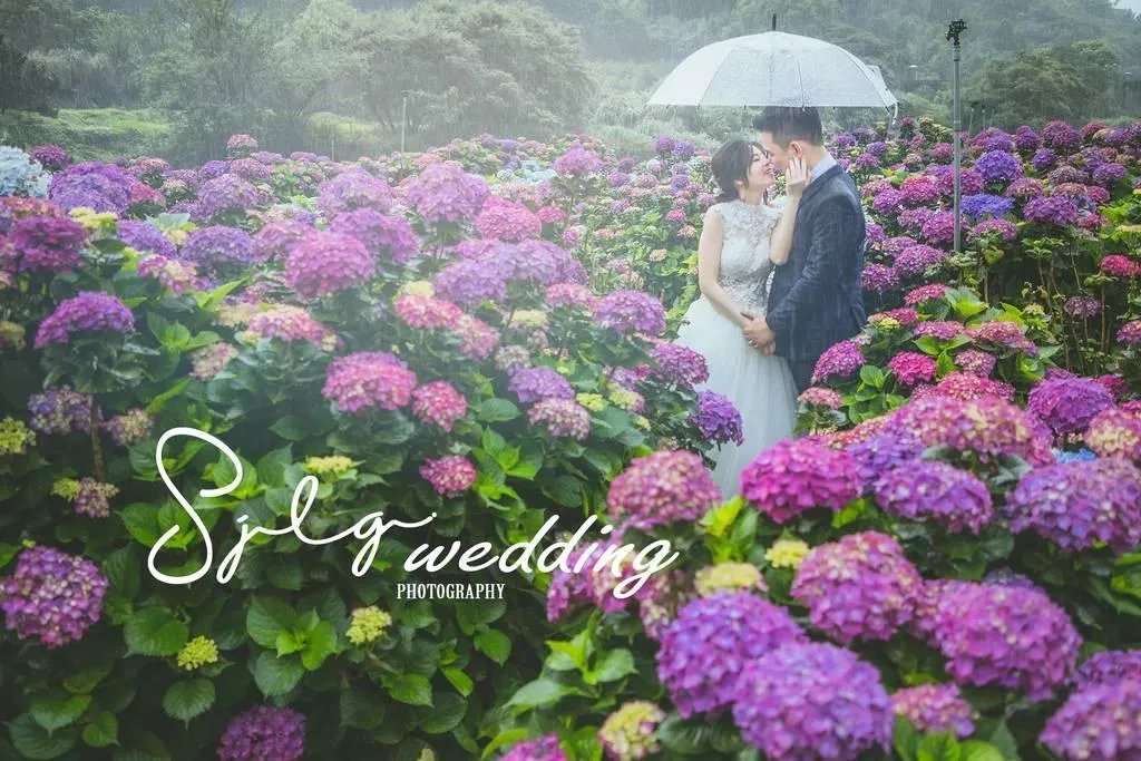 婚紗攝影台北景點|陽明山水車寮步道-高家繡球花田-竹子湖大賞園繡球花|季節限定婚紗景點-婚紗攝影台北景點|陽明山水車寮步道-高家繡球花田-竹子湖大賞園繡球花|季節限定婚紗景點
