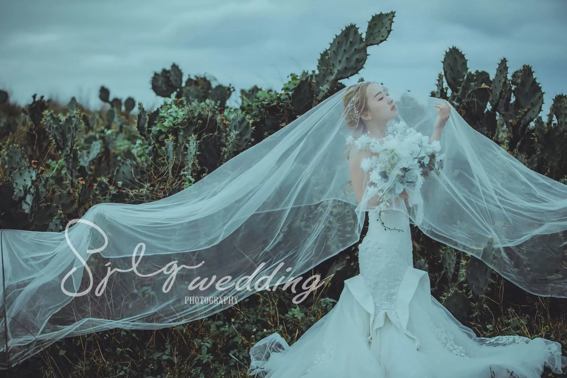 拍婚紗推薦|韓風婚紗|自然系婚紗|美式清新|活潑甜蜜婚紗|唯美婚紗|視覺流感攝影|手工禮服-婚紗攝影新人精選作品(D)|韓風|自然|個性|美式|活潑|甜蜜|溫馨|婚紗作品