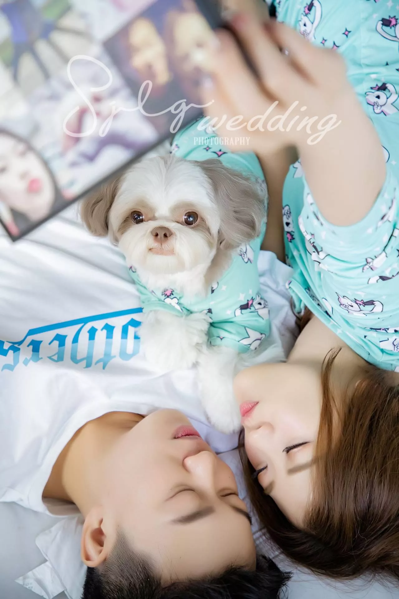 拍婚紗推薦|韓風婚紗|自然系婚紗|美式清新|活潑甜蜜婚紗|唯美婚紗|視覺流感攝影|手工禮服-婚紗攝影新人精選作品(D)|韓風|自然|個性|美式|活潑|甜蜜|溫馨|婚紗作品