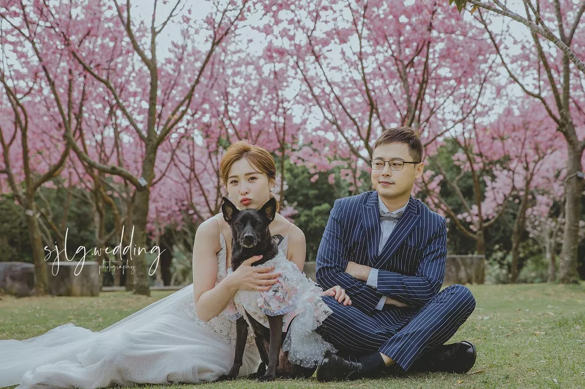 #婚紗攝影,#台灣婚紗,#婚攝作品,#婚紗攝影師,#婚紗風格,#婚紗攝影包套,#婚紗攝影價格,#婚紗攝影工作室,#台灣婚紗攝影地點,#婚紗攝影技巧(14)-視覺流感婚紗攝影新人精選(A)|韓風|自然|個性|美式|活潑|甜蜜|溫馨|婚紗作品